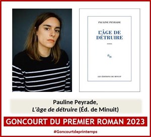 Affiche de L'âge de détruire