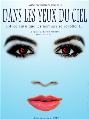 Affiche de Dans les yeux du ciel
