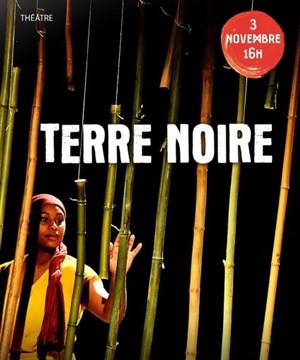 Affiche de Terre Noire