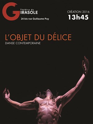 Affiche de L'objet du délice