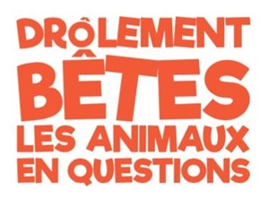 Affiche de Nouvelle Emission : Drôlement bête, les animaux en questions !