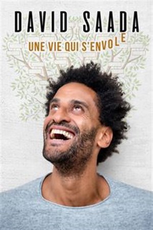 Affiche de David Saada dans Une vie qui s'envole