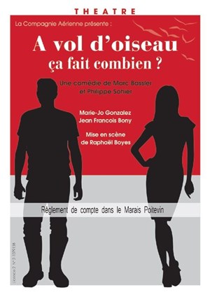 Affiche de A vol d'oiseau, ça fait combien ?