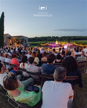 Affiche de Affaire de Comédie au Domaine Fredavelle
