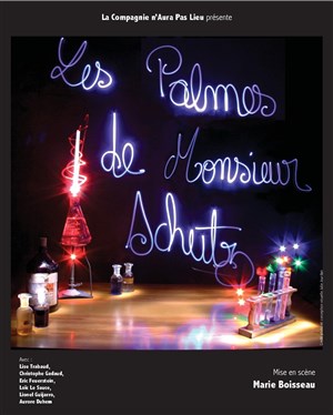Affiche de Les palmes de Monsieur Schutz