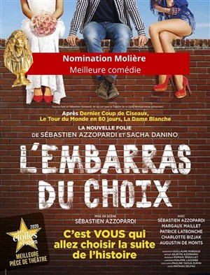 Affiche de L'Embarras du choix | de Sébastien Azzopardi et Sacha Danino