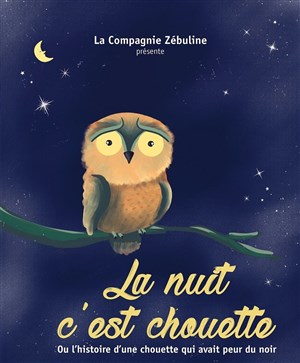 Affiche de La nuit c'est chouette