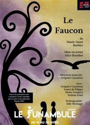 Affiche de Le Faucon