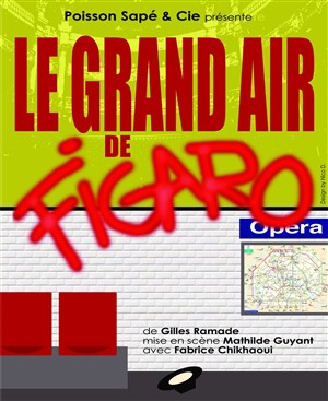 Affiche de Le grand air de Figaro
