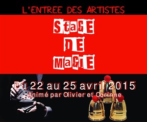 Affiche de Stage de magie