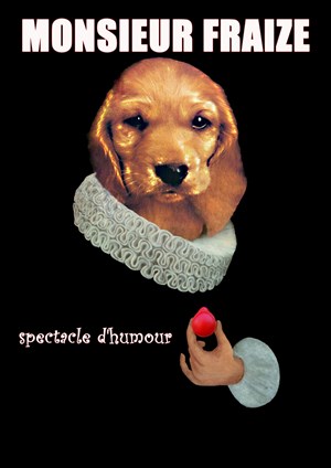 Affiche de Monsieur Fraize