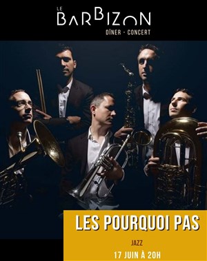 Affiche de Les Pourquoi Pas