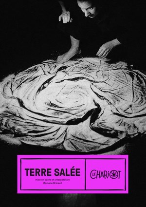 Affiche de Terre salée