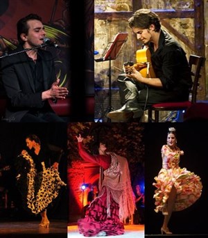 Affiche de Flamenco à Paris