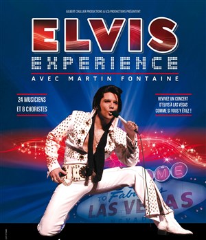 Affiche de Elvis Experience