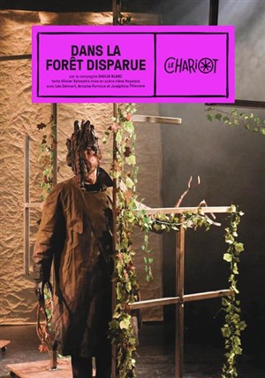 Affiche de Dans la forêt disparue