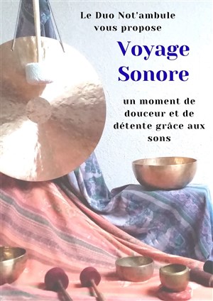 Affiche de Voyage Sonore