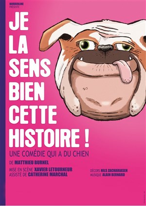 Affiche de Je la sens bien cette histoire