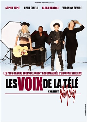 Affiche de Les voix de la télé chantent Hallyday