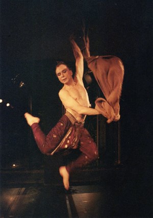 Affiche de Nandanar
