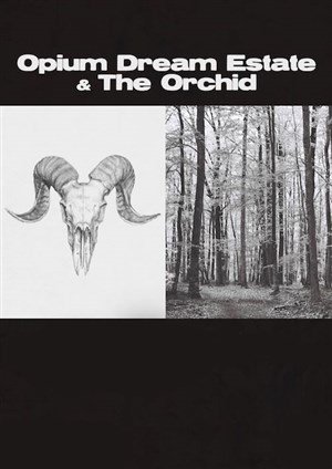 Affiche de Opium Dream Estate | + 1ère partie The Orchid