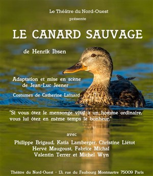 Affiche de Le Canard Sauvage