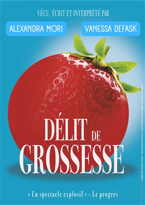 Affiche de Délit de grossesse