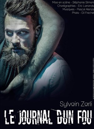 Affiche de Le journal d'un fou