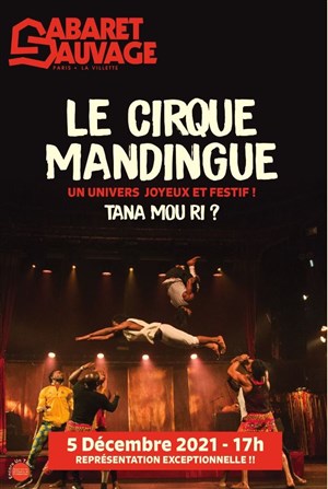 Affiche de Le cirque Mandingue