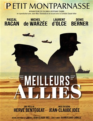 Affiche de Meilleurs alliés