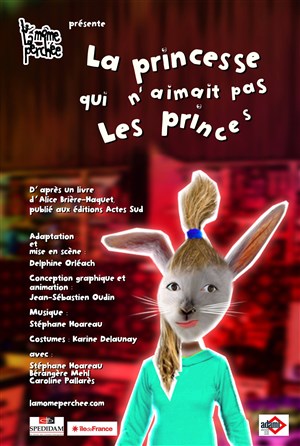 Affiche de La princesse qui n'aimait pas les princes