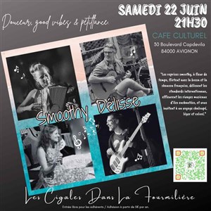 Affiche de Smoothy Délisse