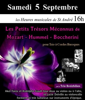 Affiche de Les Trésors Méconnus de Mozart / Hummel / Boccherini
