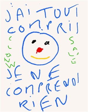 Affiche de j'ai tout compris, je ne comprends rien