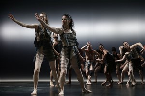 Affiche de Sasha Waltz & Guests dans Kreatur