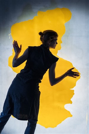 Affiche de Wax