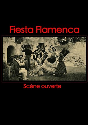 Affiche de Fiesta Flamenca
