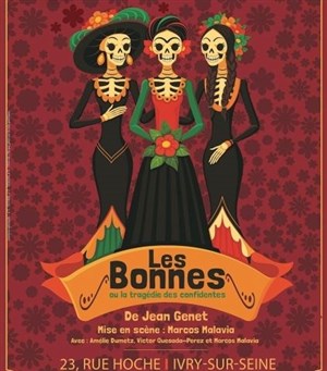 Affiche de Les bonnes ou la tragédie des confidentes