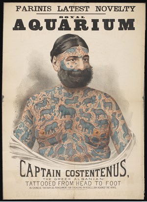 Affiche de HEY! La Cie - On a volé le bras de Costentenus