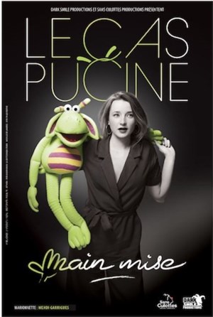 Affiche de Le Cas Pucine dans Main mise