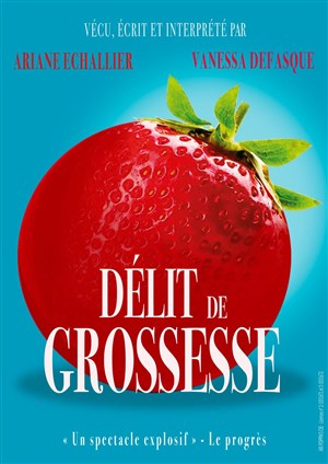 Affiche de Délit de grossesse