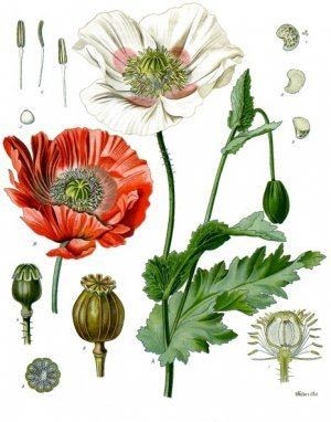 Affiche de Drogue et Dopage