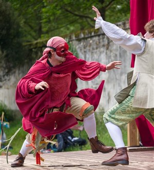Affiche de Le Fanfaron
