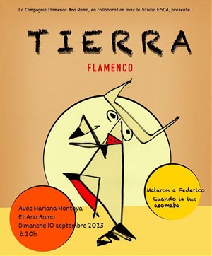 Affiche de Tierra : Flamenco