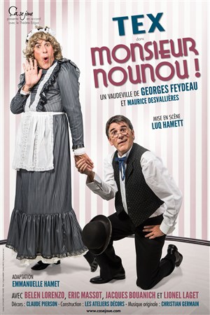 Affiche de Monsieur Nounou | avec Tex