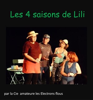 Affiche de Les 4 saisons de Lili