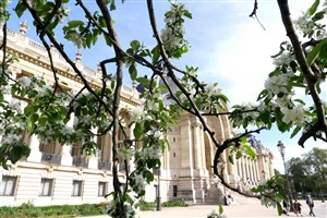 Affiche de Visite guidée : Les Champs-Élysées côté jardins | par Mireille Gardon
