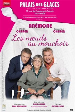 Affiche de Les noeuds au mouchoir | avec Anémone