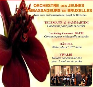 Affiche de Orchestre des jeunes ambassadeurs de Bruxelles