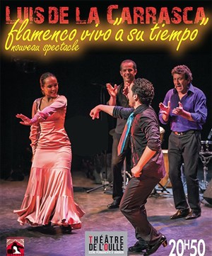 Affiche de Flamenco Vivo A Su Tiempo